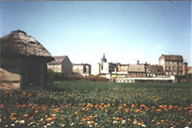 Jubilaeum